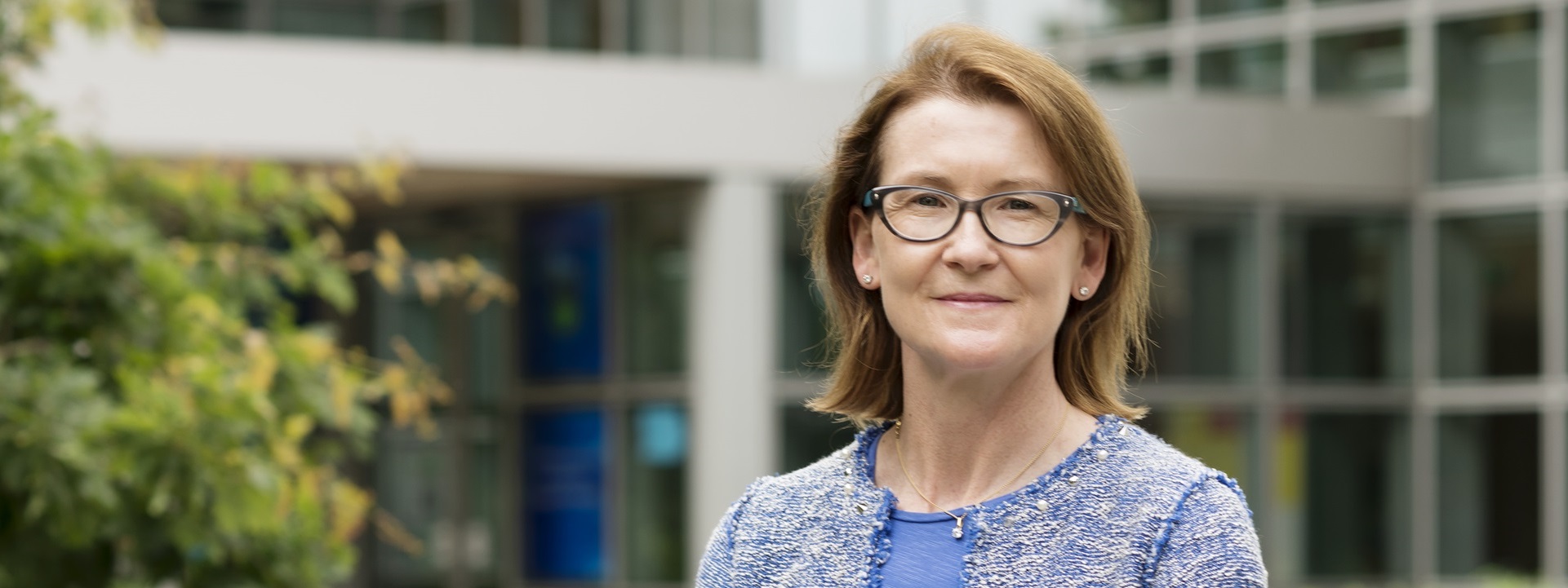 Professor Helen Roche image